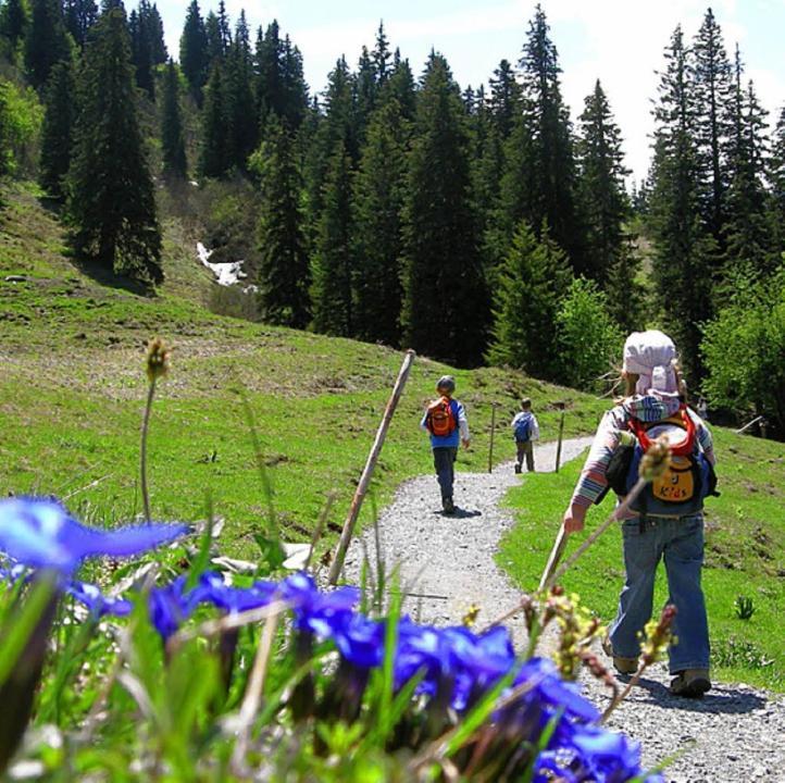 Linthal Diese Einfache Unterkunft- Bergheimat Ist Nur Fuer Backpacker- Rucksacktouristen Und Radfahrer - Huettenfeeling Im Backpackerhoues- Ganz Einfach - Ganz Unkompliziert - Ganz Relaxd 빌라 외부 사진