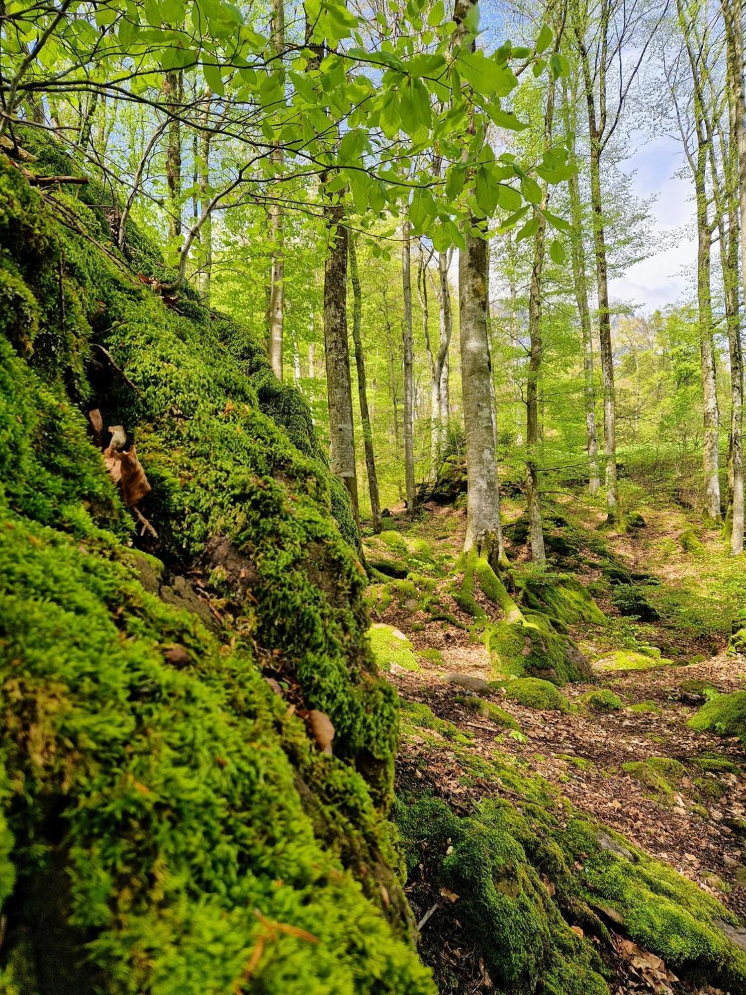 Linthal Diese Einfache Unterkunft- Bergheimat Ist Nur Fuer Backpacker- Rucksacktouristen Und Radfahrer - Huettenfeeling Im Backpackerhoues- Ganz Einfach - Ganz Unkompliziert - Ganz Relaxd 빌라 외부 사진